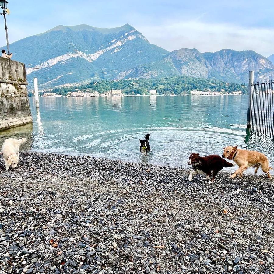 Appartamenti Casa Lory Bellagio Dış mekan fotoğraf