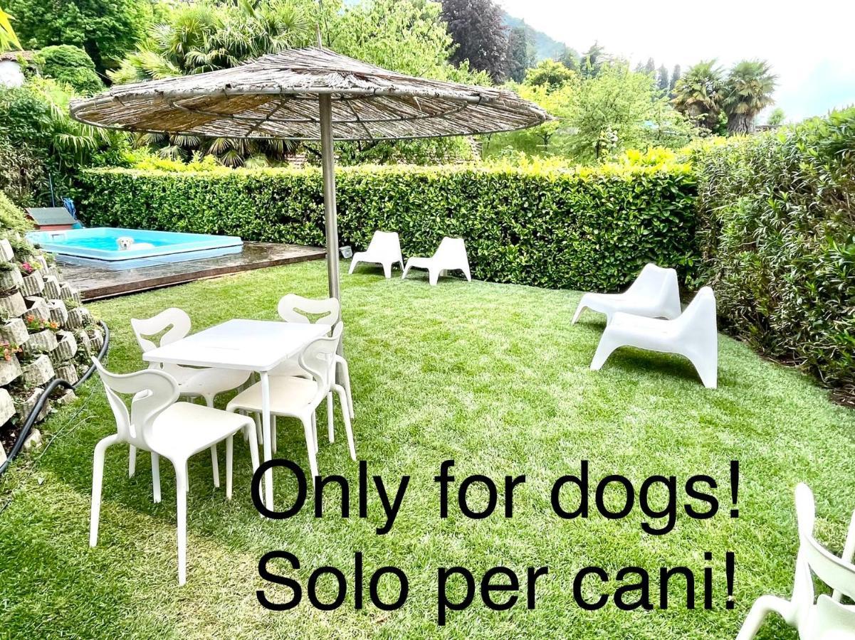 Appartamenti Casa Lory Bellagio Dış mekan fotoğraf